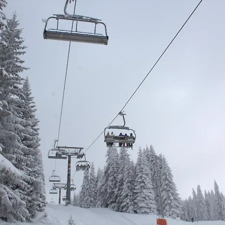 Kraljev