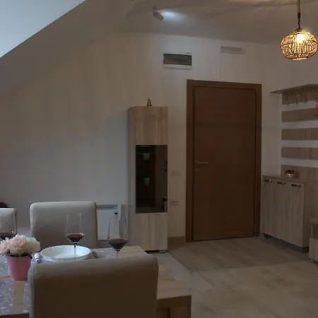 Kraljev 公寓式酒店 科帕奥尼克