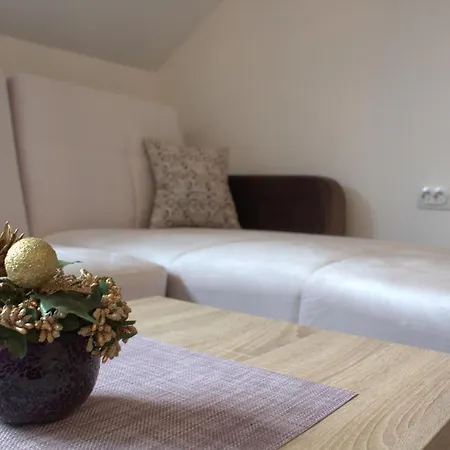 公寓式酒店 Kraljev 科帕奥尼克