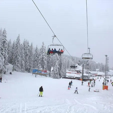 Kraljev Kopaonik