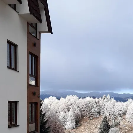 Kraljev *